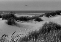 Dunes