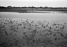 Wadden sea