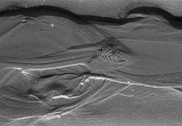 h2020-09-06 - 006 - 10