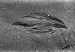 h2020-09-06 - 006 - 15